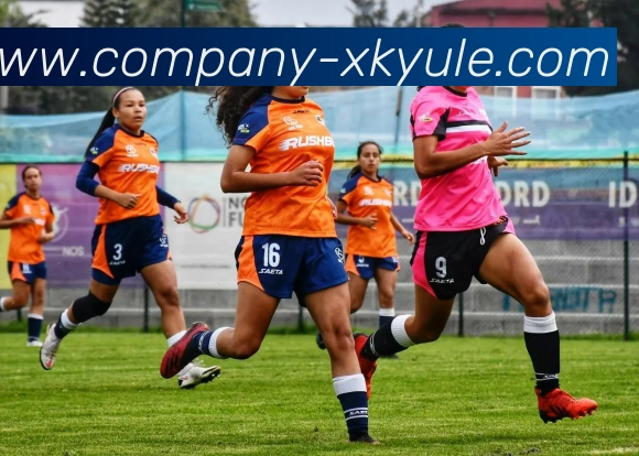 多媒体互动体验